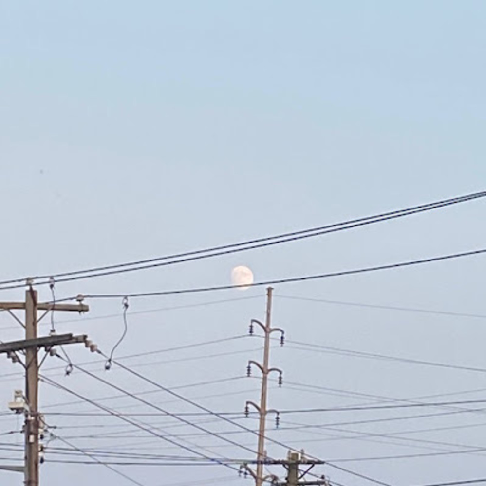 Meet your Posher, Janet